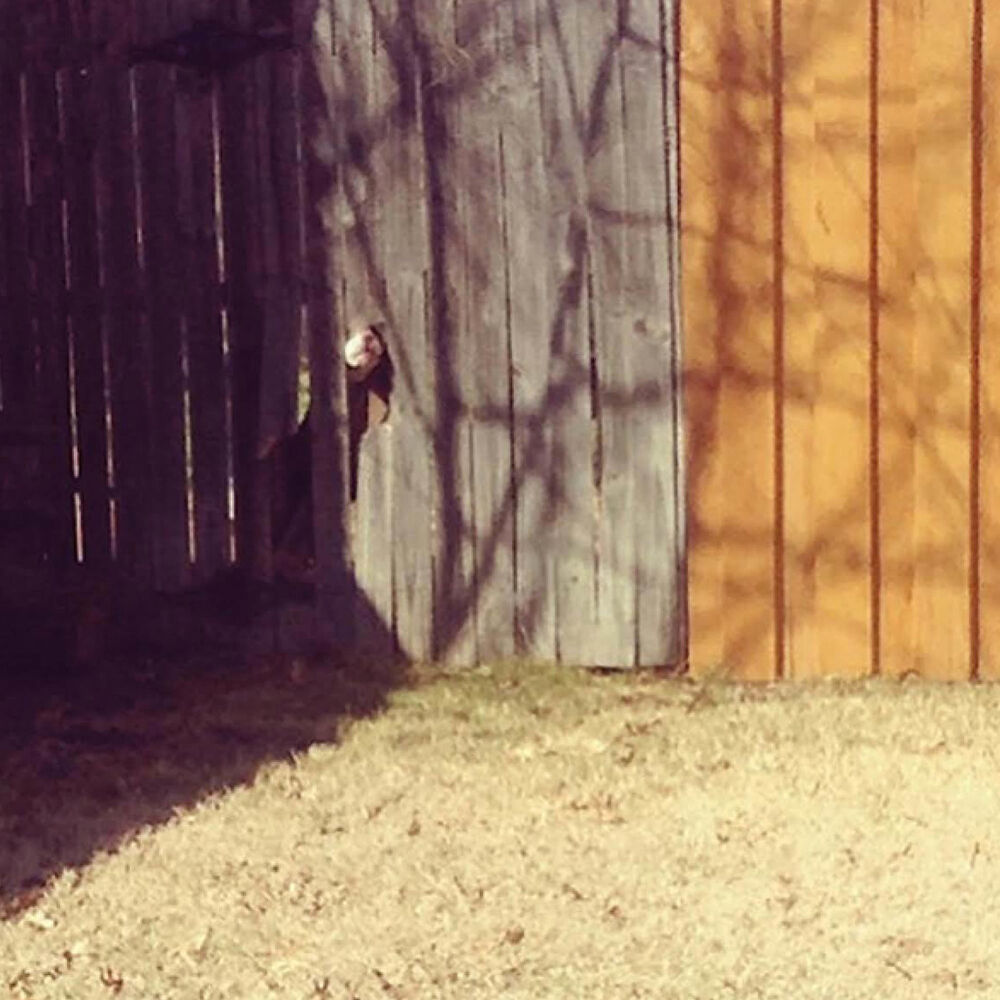 Picture of Go Away Closer