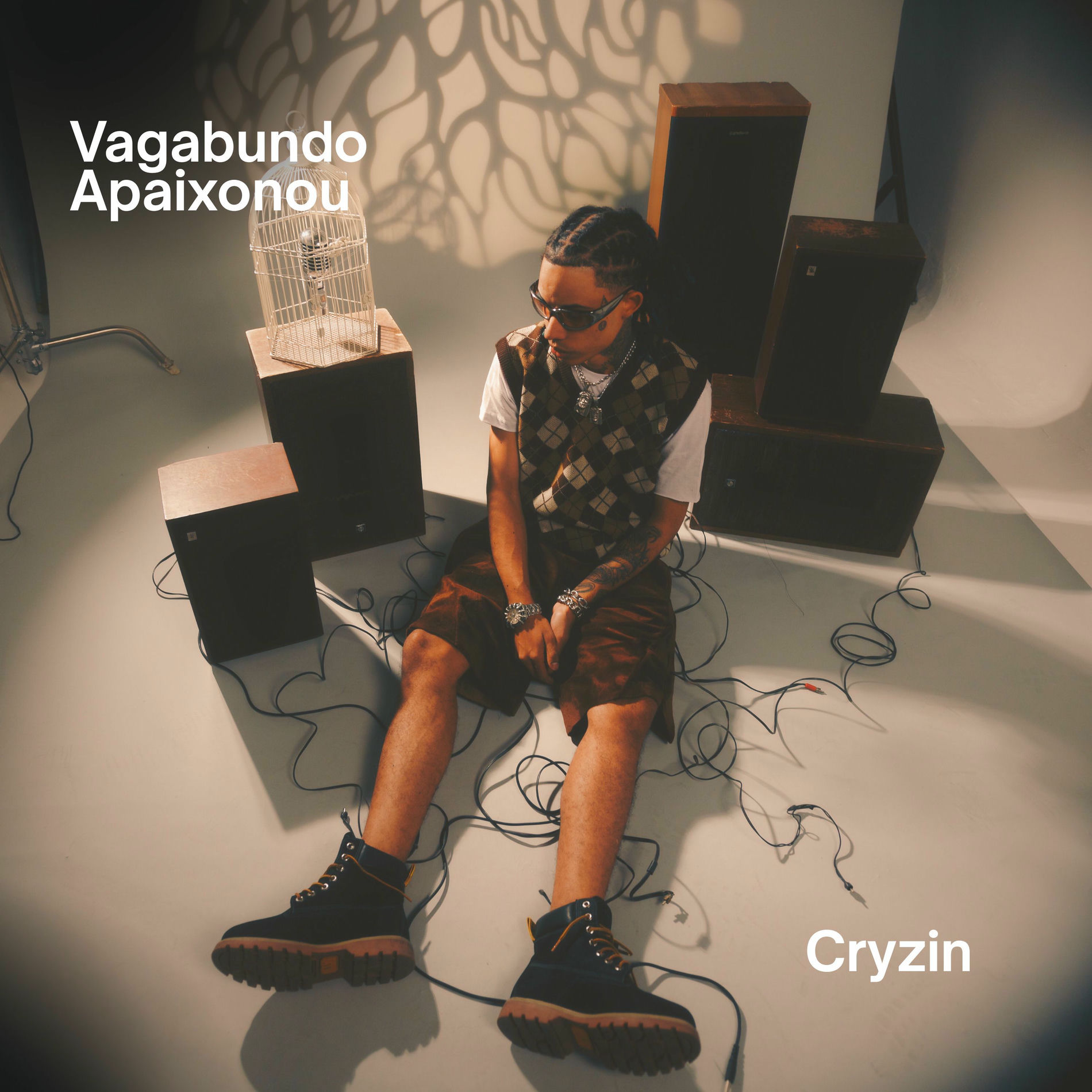Album cover of Vagabundo Apaixonou