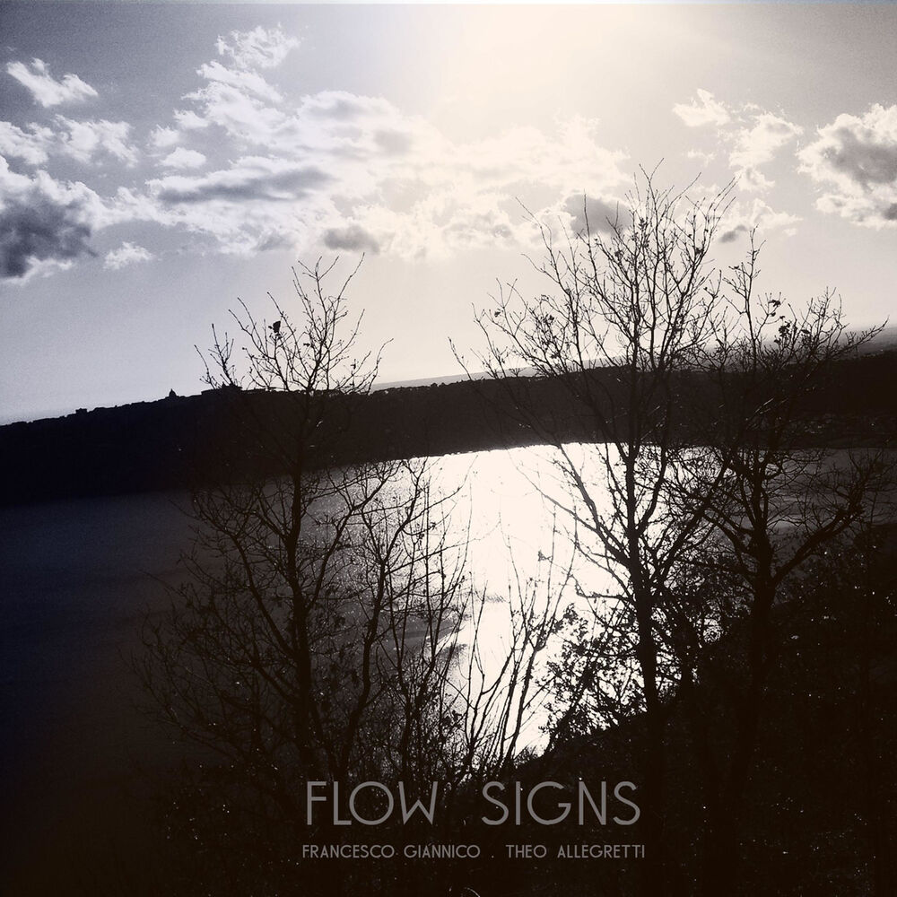 Picture of Flow Signs