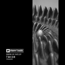 Cover of Enemy Of Fate EP