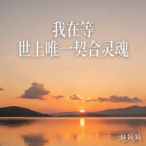我在等 世上唯一契合灵魂