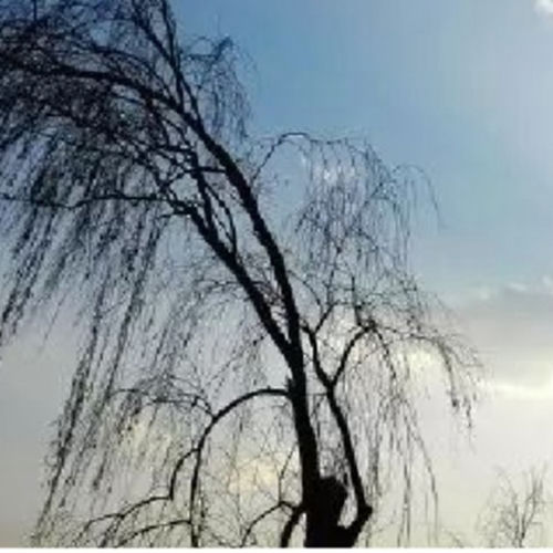 思乡梦
