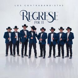 Cover of Regresé por ti