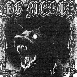 Cover of No Mercy