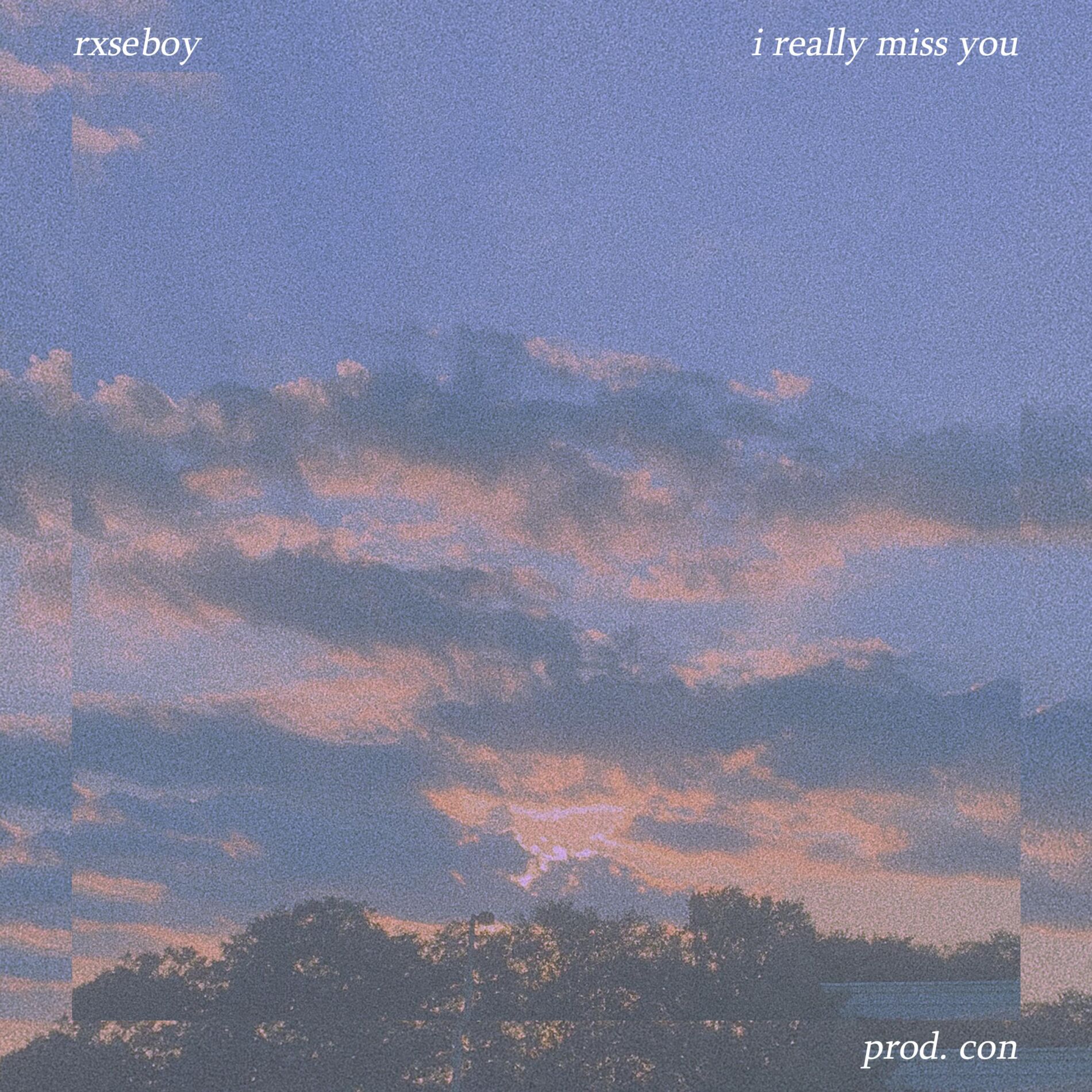 Album cover of i really miss you
