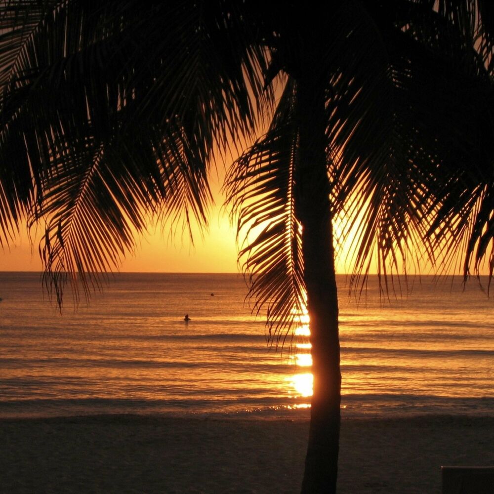 Picture of Relaxing Ambience