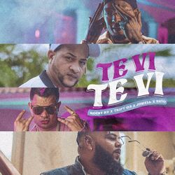 Cover of Te Vi Te Vi (feat. Nayo)