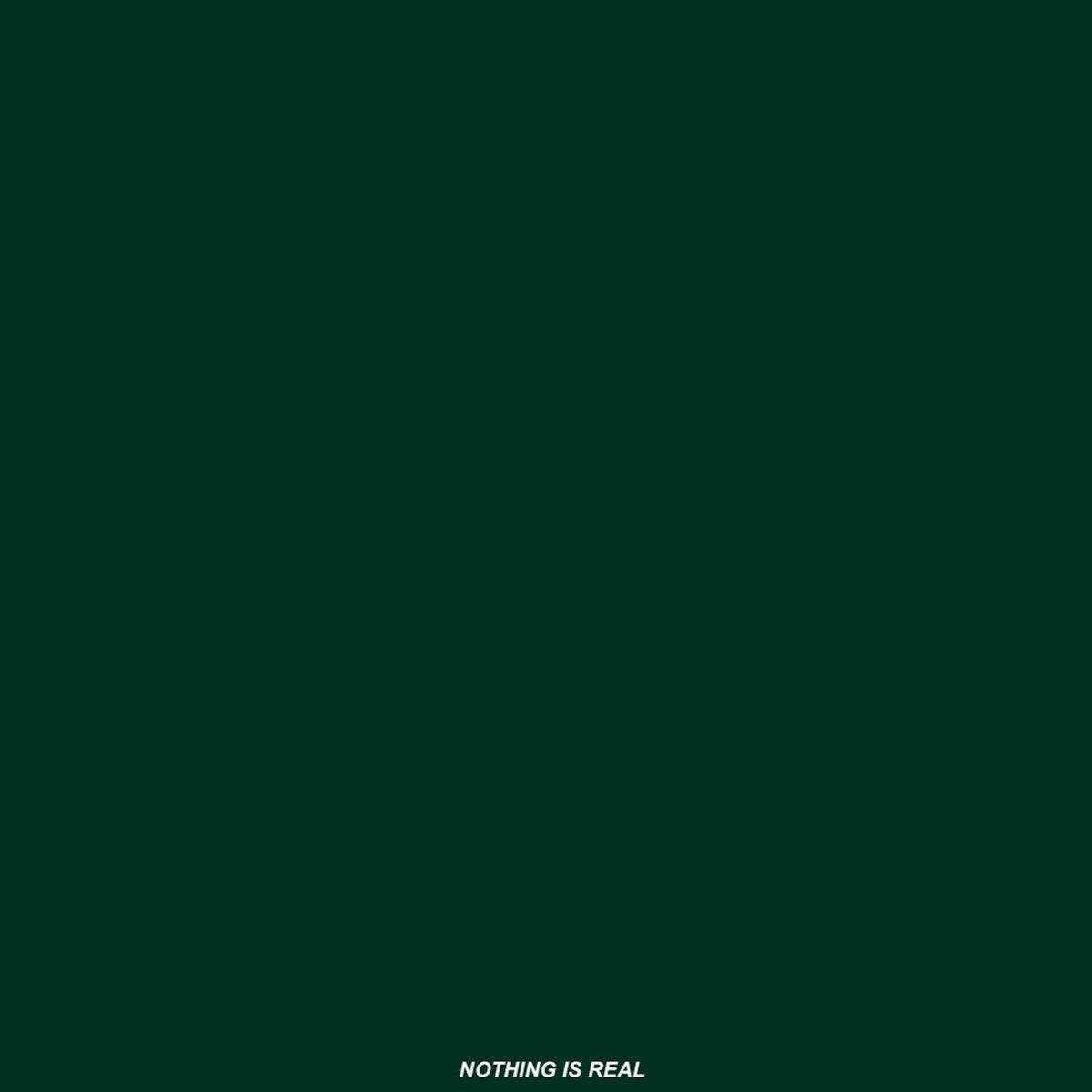 Album cover of NOTHING IS REAL