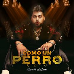 Cover of COMO UN PERRO