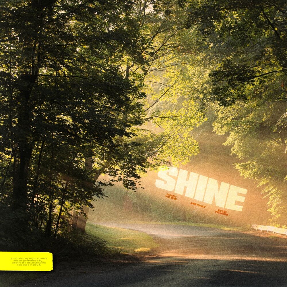 Picture of SHINE