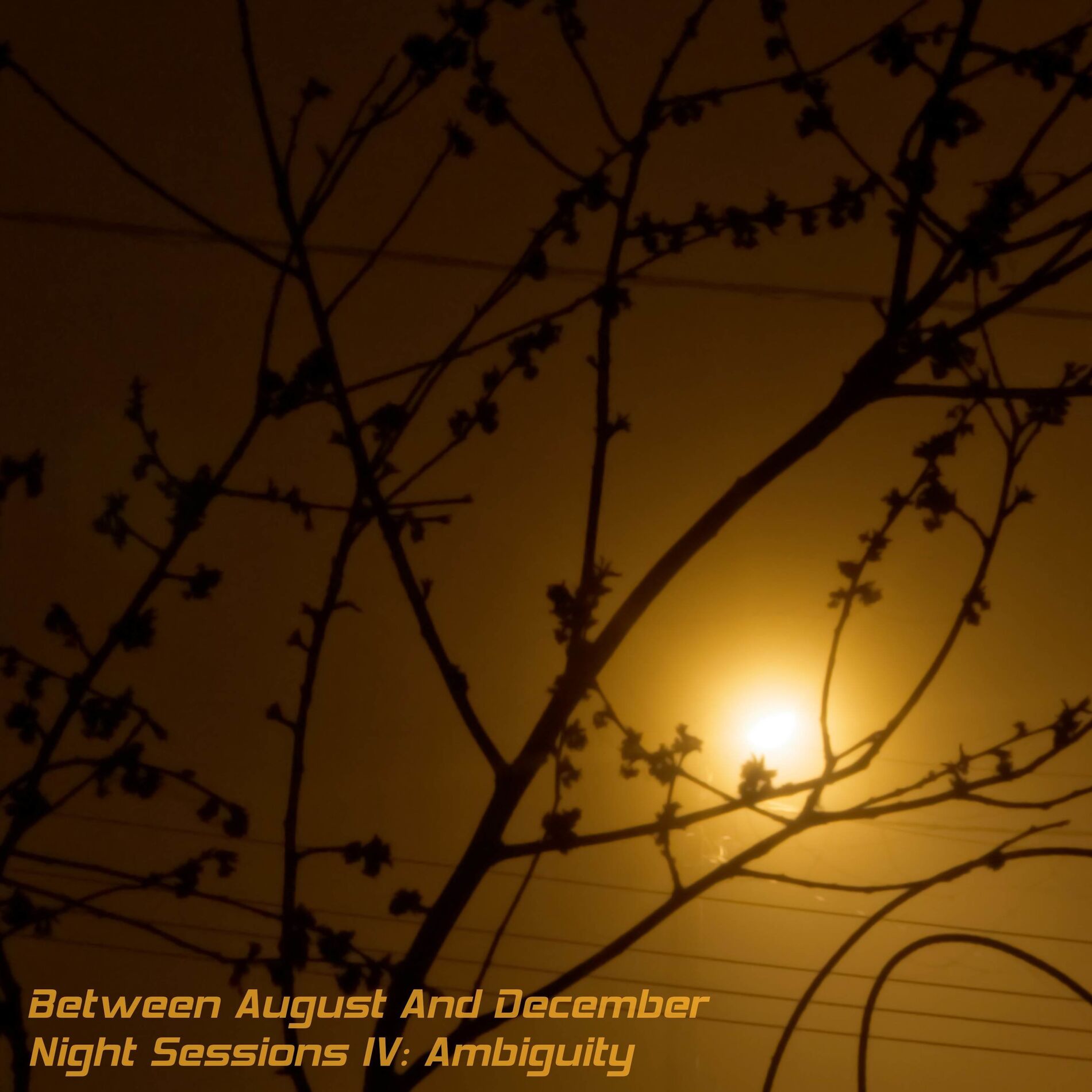 Album cover of Night Sessions IV: Ambiguity