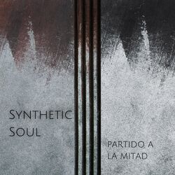Cover of Partido A La Mitad