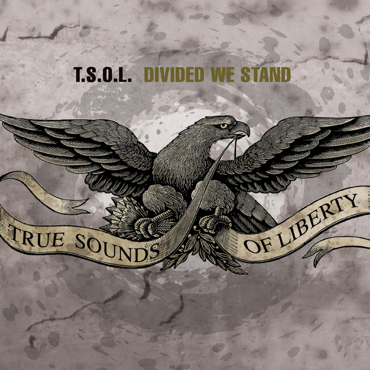 Album cover of Divided We Stand