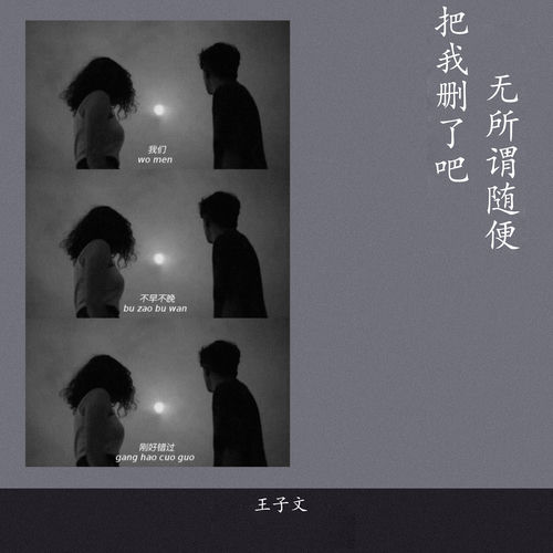 把我删了吧 无所谓随便 - DJ版 by 王子文 - 135 BPM