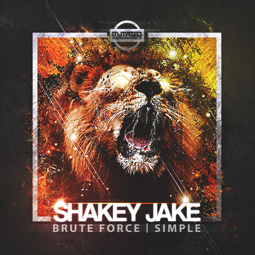 Picture of Brute Force/Simple
