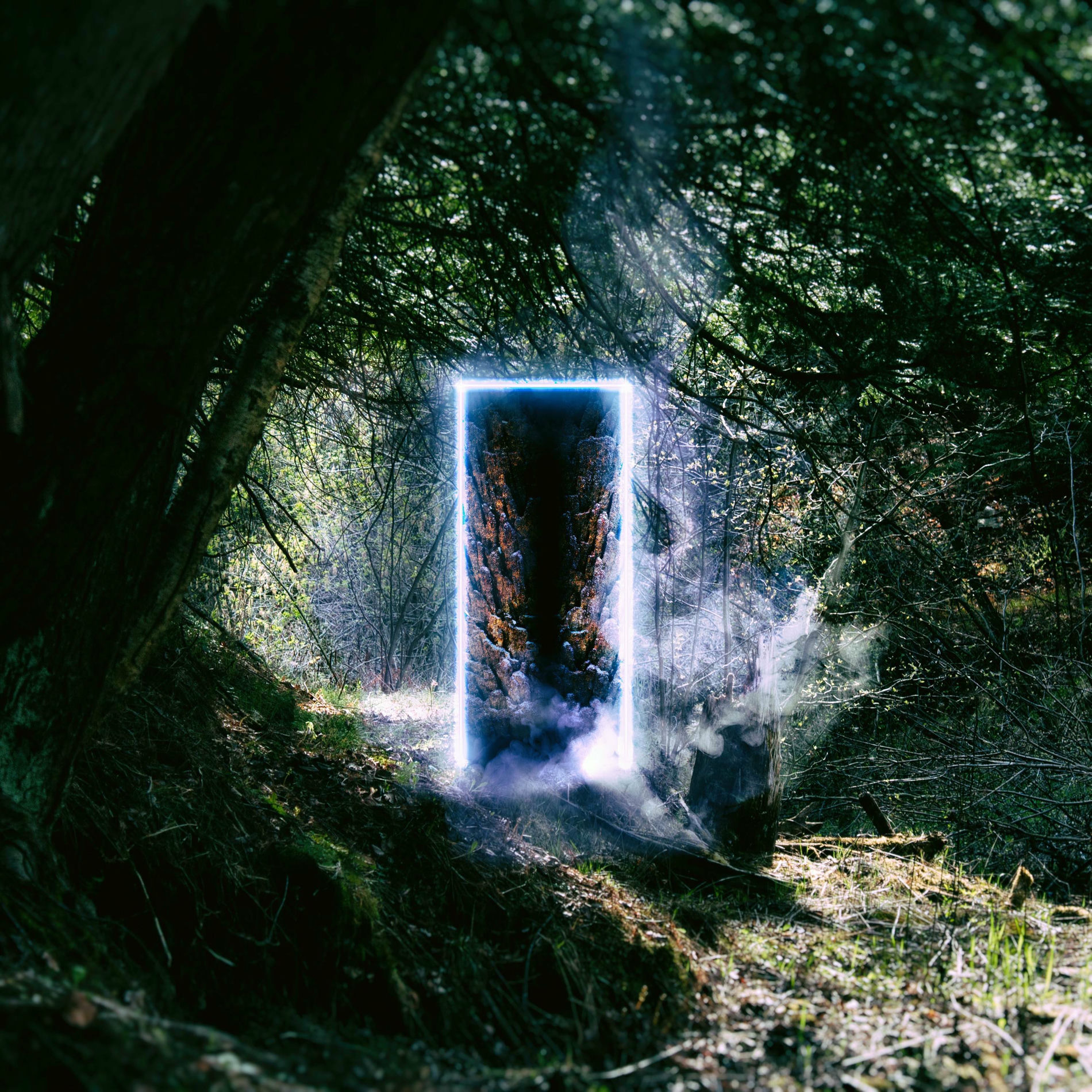 Album cover of Hidden Realms and Vacant Spaces