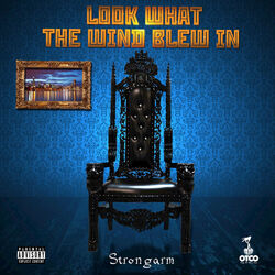 Cover of Look What the Wind Blew In