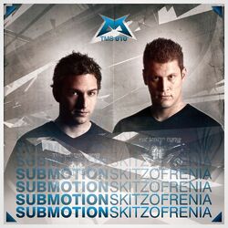 Cover of Skitzofrenia