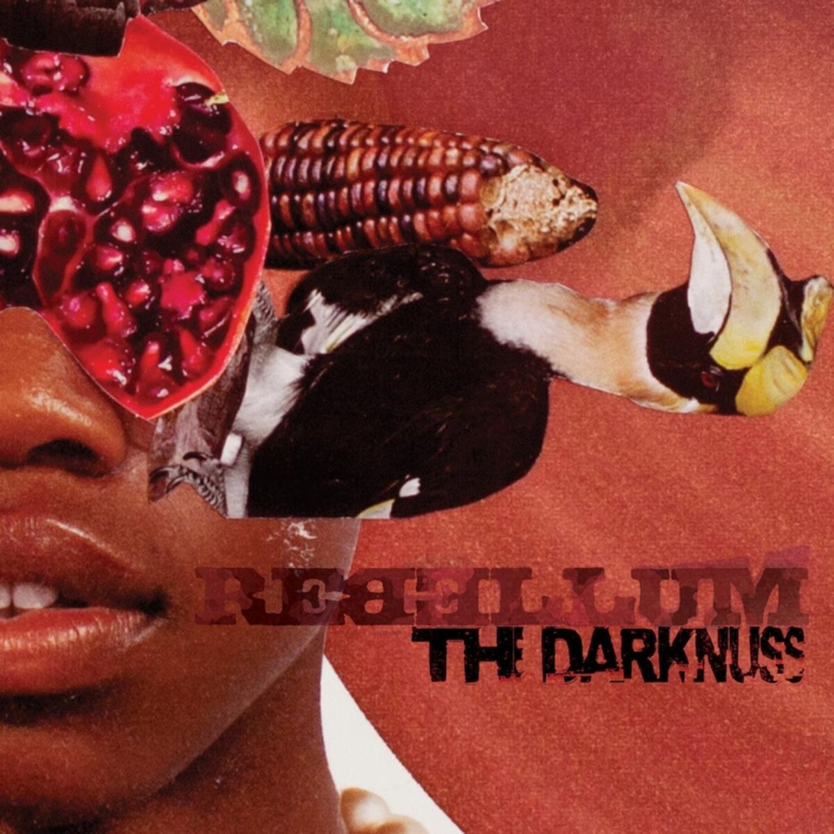 Album cover of The Darknuss