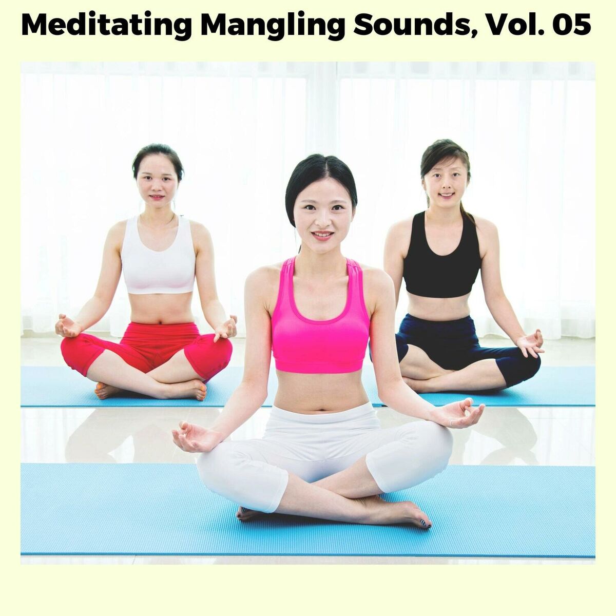 Album cover of Meditating Mangling Sounds, Vol. 05