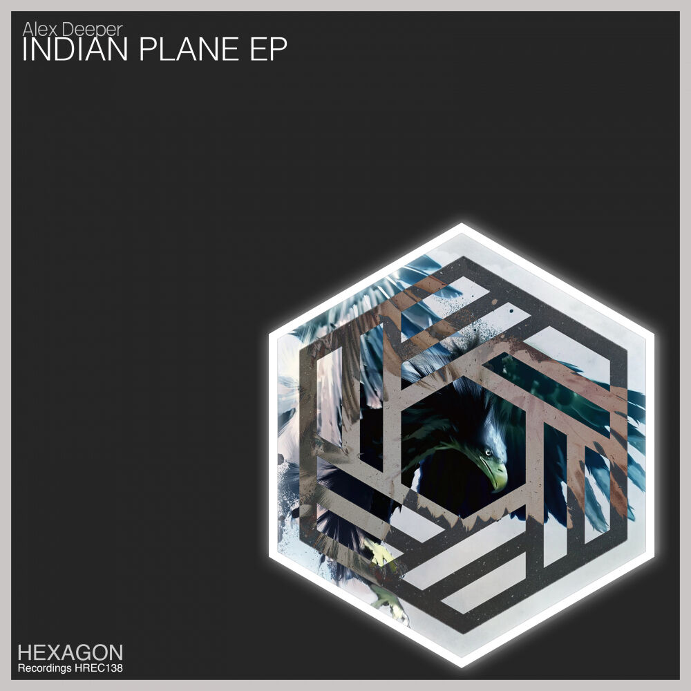 Picture of Indian Plane Ep