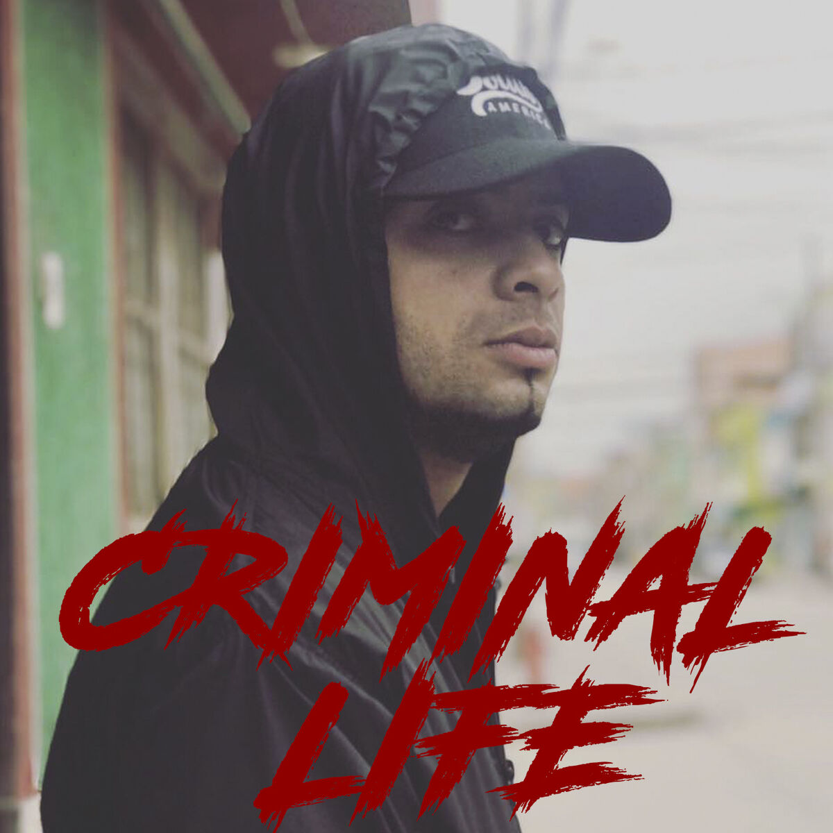Album cover of Criminal Life