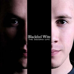 Cover of The Second Life