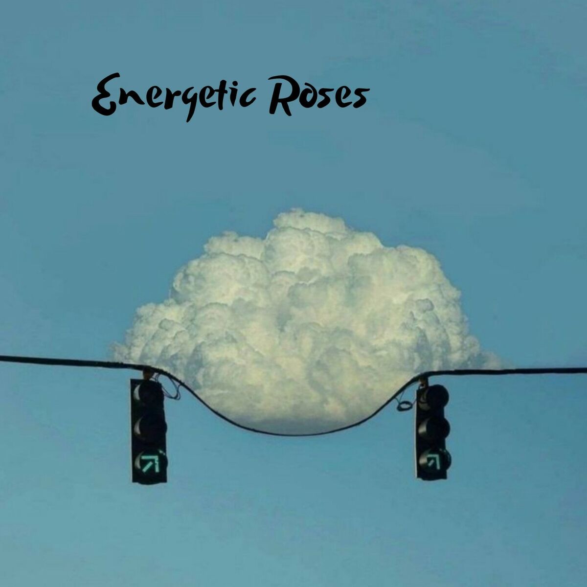 Album cover of Energetic Roses