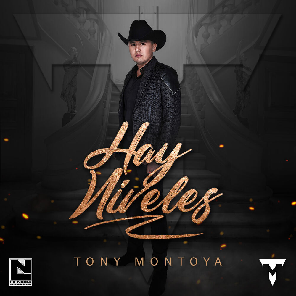 Picture of Hay Niveles