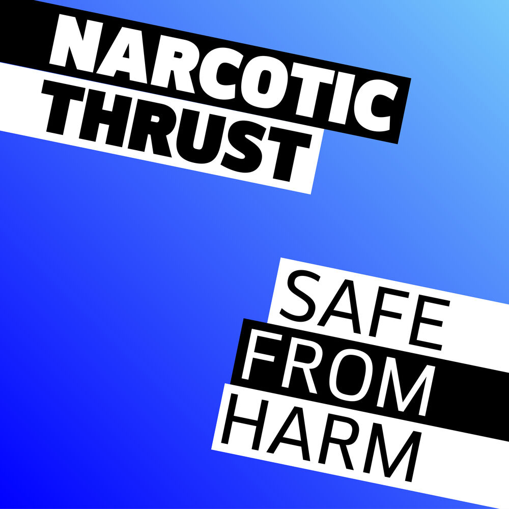Picture of Safe From Harm