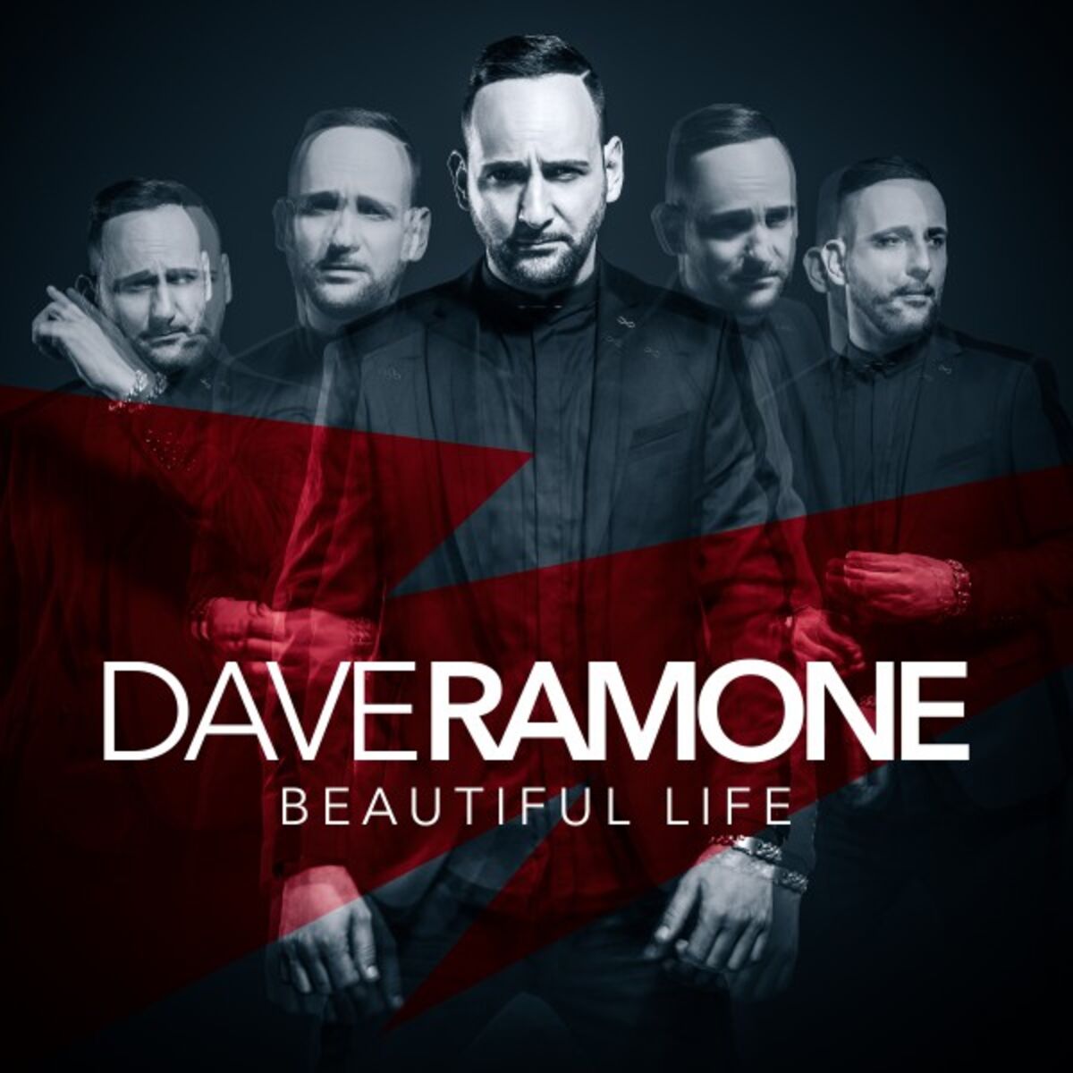 Album cover of Beautiful Life