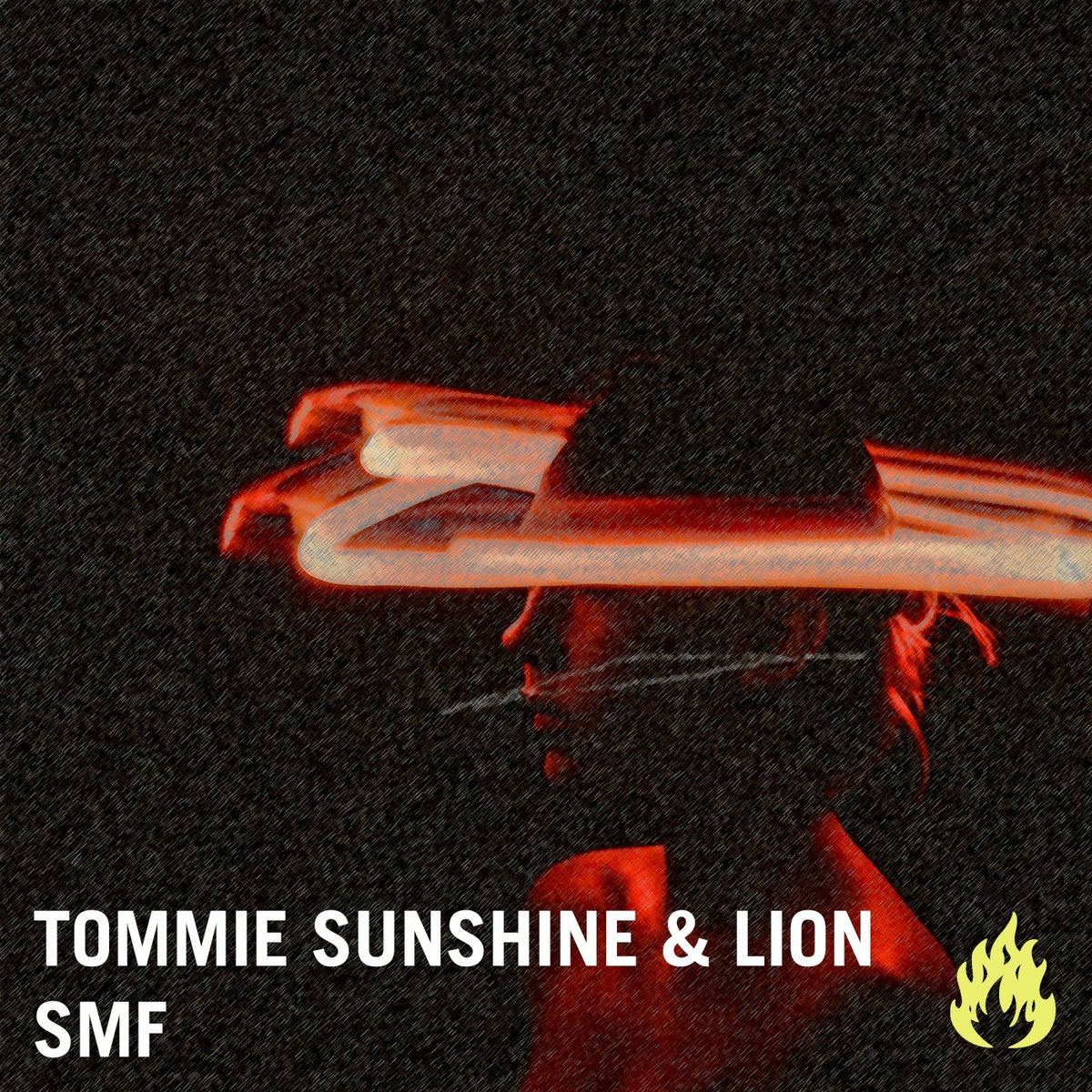 Album cover of SMF