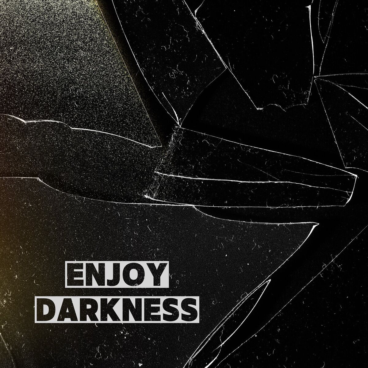 Album cover of Enjoy Darkness