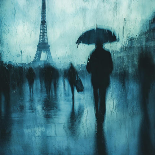 Cascade de Sagesse: Les Pépites de Connaissance d'un Pluviophile