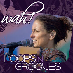 Cover of Loops n Grooves