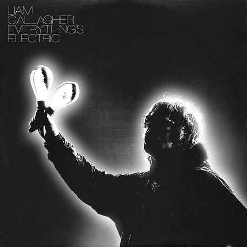 Everything's Electric by Liam Gallagher - 166 BPM