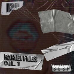 Cover of Rar(e) Files, Vol. 1