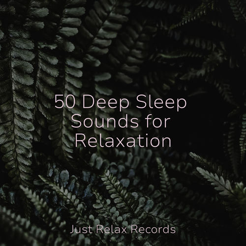 50 Deep Sleep Sounds for Relaxation