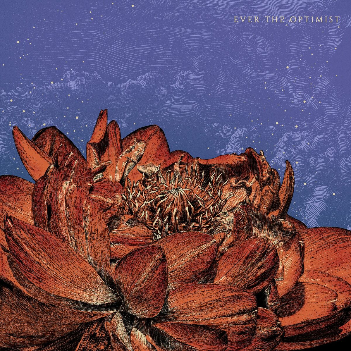Album cover of Ever the Optimist