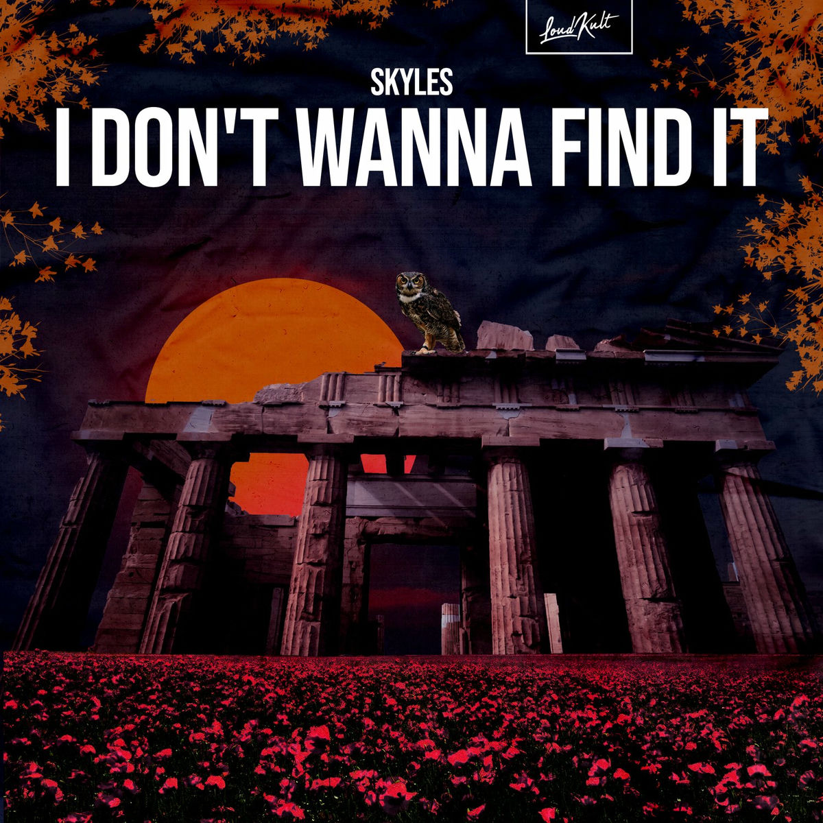 Album cover of I Don't Wanna Find It