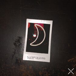 Cover of Sleeptalking