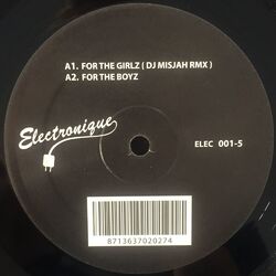 Cover of For The Girls