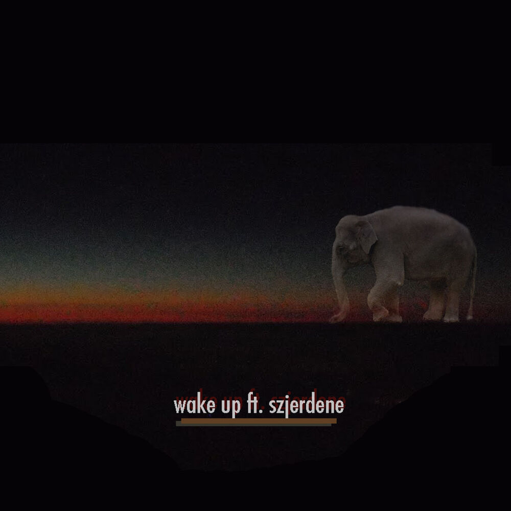 Picture of Wake Up