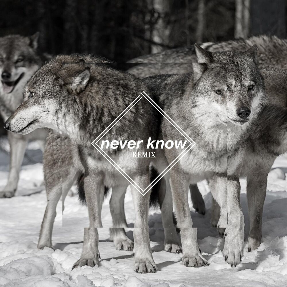 Picture of Never Know (feat. Freja Kirk) (Few Wolves VIP remix)