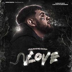 Cover of L.O.V.E.