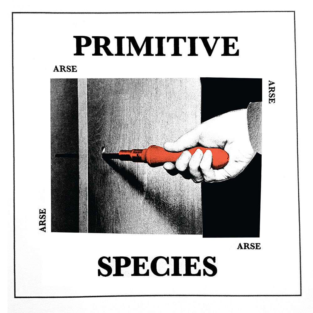 Picture of Primitive Species