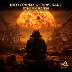 Cover of Dynamic Range