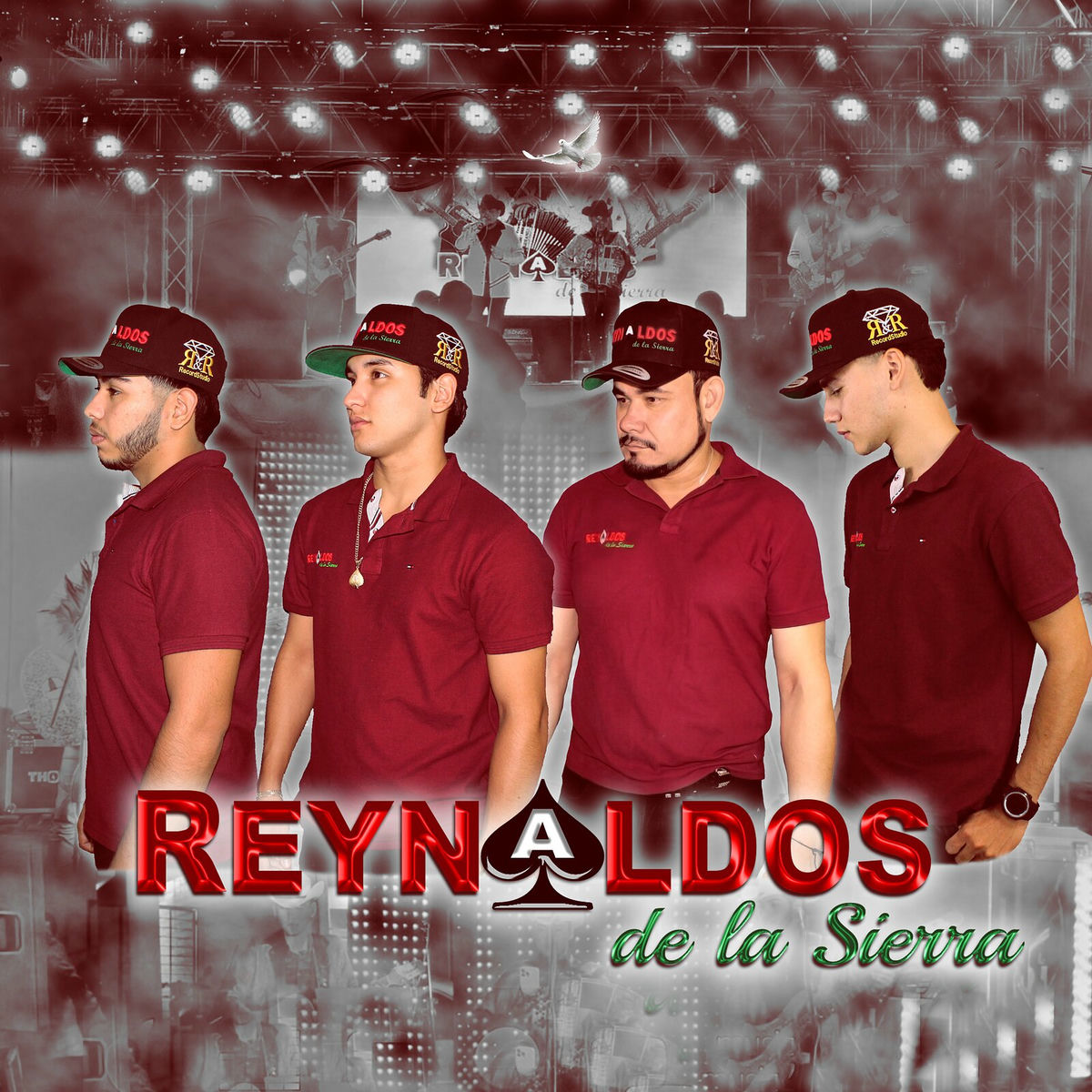 Album cover of Álbum 46 Puras De Alfredito (En Vivo)