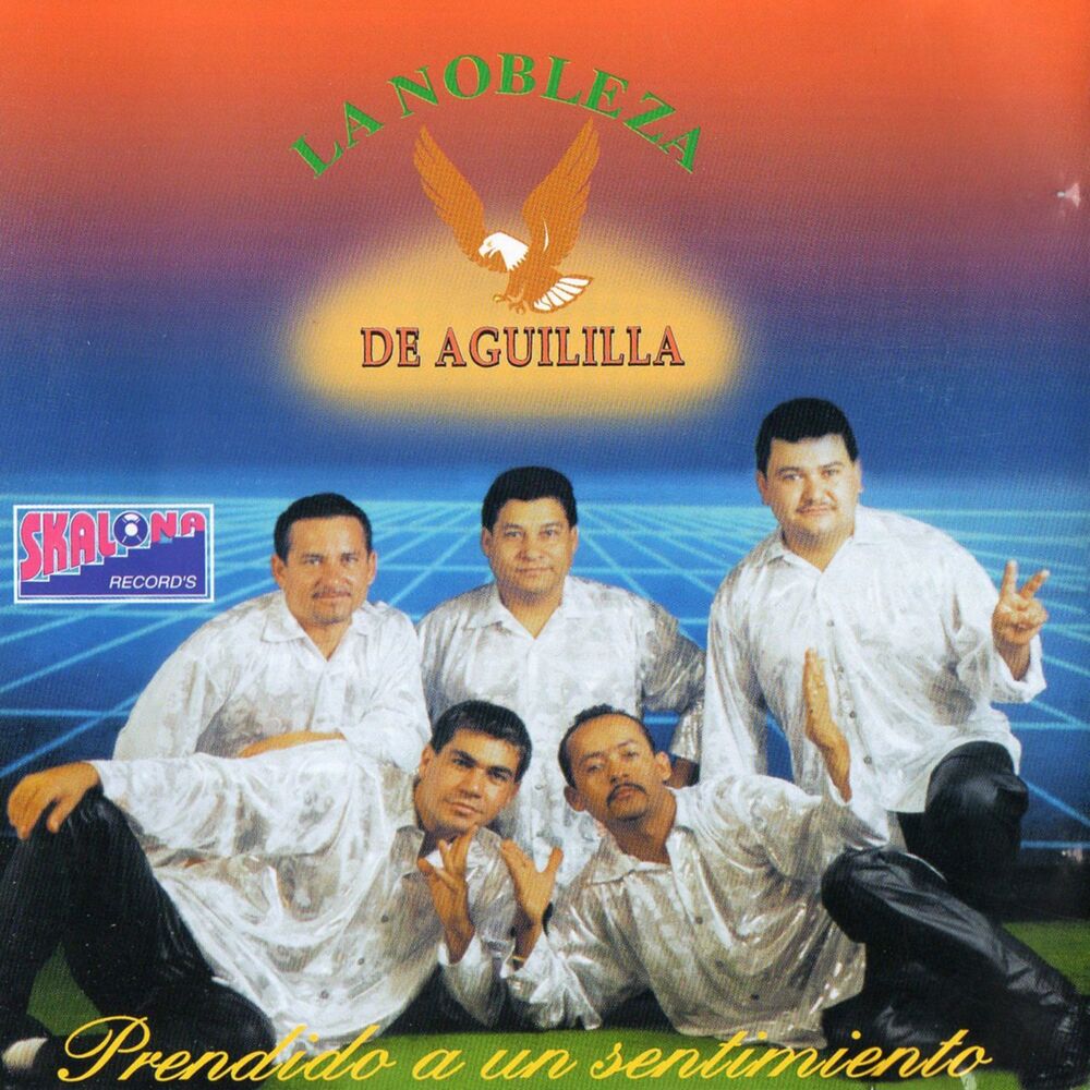 Picture of Prendido a un Sentimiento