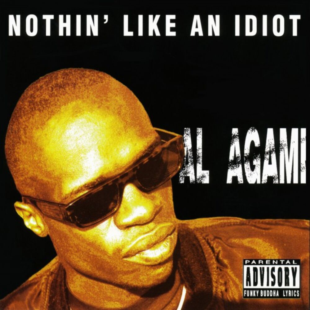 Picture of Nothin' Like an Idiot